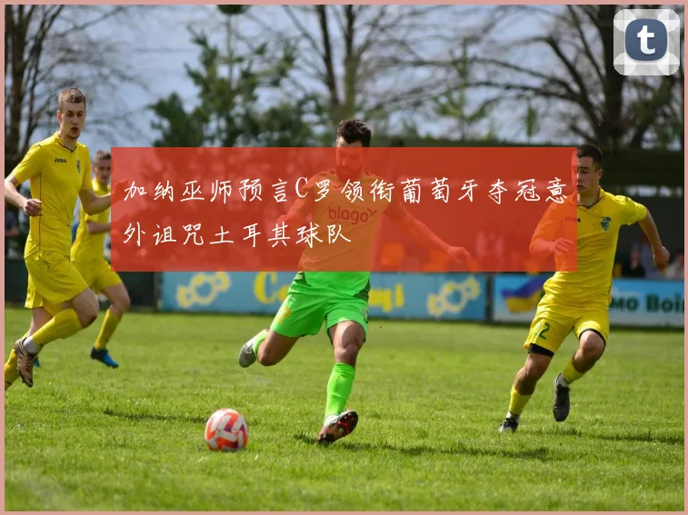 加纳巫师预言C罗领衔葡萄牙夺冠意外诅咒土耳其球队