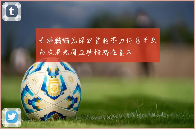 手握鹈鹕无保护首轮签为何急于交易浓眉老鹰应珍惜潜在基石
