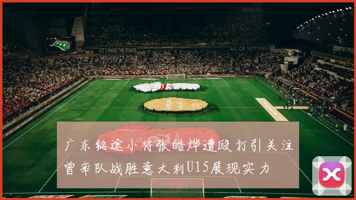 广东铭途小将张皓烨遭殴打引关注曾率队战胜意大利U15展现实力